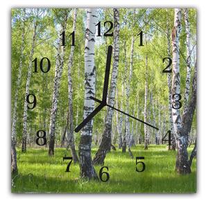 Nástěnné hodiny 30x30cm příroda břízový les - plexi