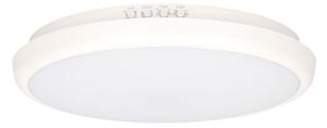 Prémiové LED venkovní osvětlení Lainio s čidlem pohybu 26cm IP65 16W 1400lm denní, 3 roky