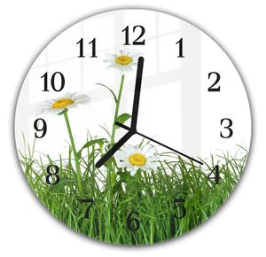 Nástěnné hodiny kulaté pr.30cm tři květy bílé kopretiny v trávě - plexi