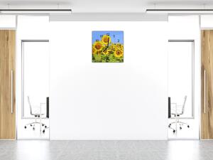 Nástěnné hodiny 30x30cm květy slunečnice na poli - plexi