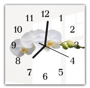 Nástěnné hodiny 30x30cm bílé květy orchideje na stonku a bílém pozadí - plexi