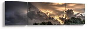 Obraz mračen a lesa (170x50 cm)