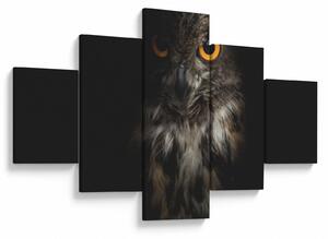 Obraz sovy (125x70 cm)