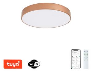 Brilagi-LED Stmív. svítidlo POOL SMART LED/60W/230V 50 cm Wi-Fi Tuya bronz + DO