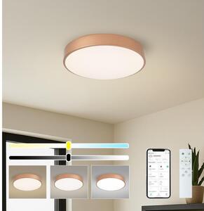 Brilagi-LED Stmív. svítidlo POOL SMART LED/48W/230V 40 cm Wi-Fi Tuya bronz + DO