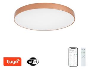 Brilagi-LED Stmív. svítidlo POOL SMART LED/100W/230V 80 cm Wi-Fi Tuya bronz+ DO