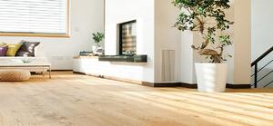 HARO Dub sauvage 536728 - 2.52 m2
