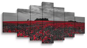 Obraz vlčích máků (210x100 cm)