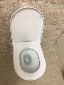 Sapho GSI NORM závěsná WC mísa, Swirlflush, 36x55 cm, bílá ExtraGlaze (861511) vč. sedátka Soft-Close, VÝPRODEJ VZORKU