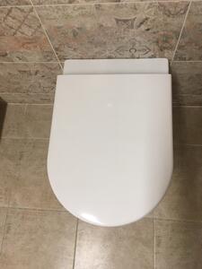 Sapho GSI NORM závěsná WC mísa, Swirlflush, 36x55 cm, bílá ExtraGlaze (861511) vč. sedátka Soft-Close, VÝPRODEJ VZORKU