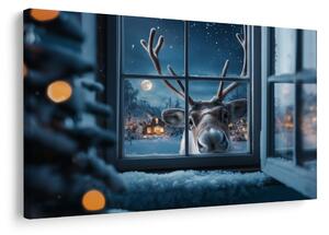 Obraz nakukující vánoční sob