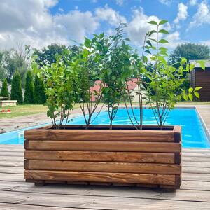 Dřevěný zahradní květináč AKSAMIT, teak, 800x250x300 (Krásné zpracování!)