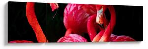 Obraz červených plameňáků (170x50 cm)