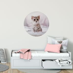 FUGU Samolepicí dekorace na stěnu - Koťátko přemístitelný kruh Rozměr: Extra velký kruh 126 cm