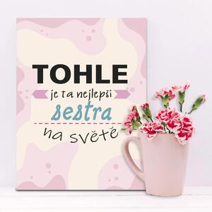 Sablio Dárková cedulka Tohle je ta nejlepší sestra na světě: 30x40 cm
