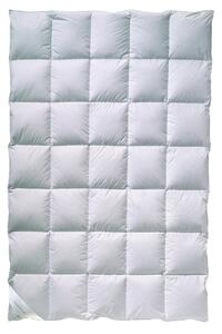 PÉŘOVÁ PŘIKRÝVKA, 155/220 cm, peří, prachové peří Billerbeck - Přikrývky, Online Only