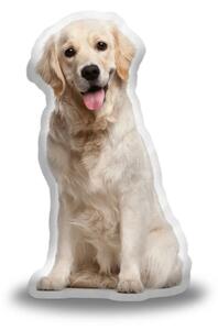 Sablio 3D polštář ve tvaru Zlatý retriever