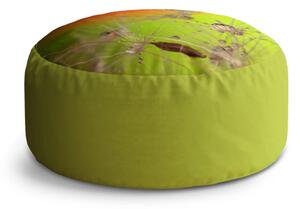 Sablio Taburet Circle Odkvetlé pampelišky: 38x48 cm
