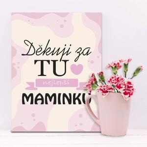 Sablio Dárková cedulka Děkuju za tu nejlepší maminku: 30x40 cm