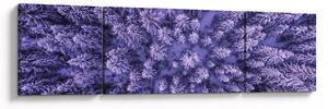 Obraz zasněžených stromů (170x50 cm)