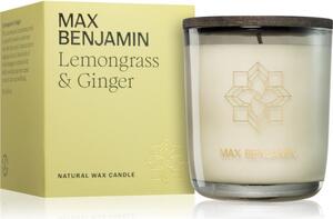 MAX Benjamin Lemongrass & Ginger vonná svíčka 210 g