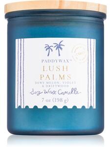 Paddywax Coastal Lush Palms vonná svíčka 198 g