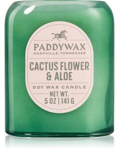 Paddywax Vista Cactus Flower & Aloe vonná svíčka 142 g