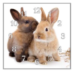 Nástěnné hodiny 30x30cm králík domácí - plexi
