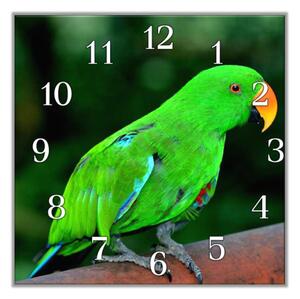 Nástěnné hodiny 30x30cm papoušek zelený eklektus samec - plexi