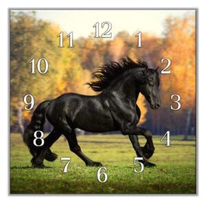 Nástěnné hodiny 30x30cm fríský kůň v kluse na louce - plexi