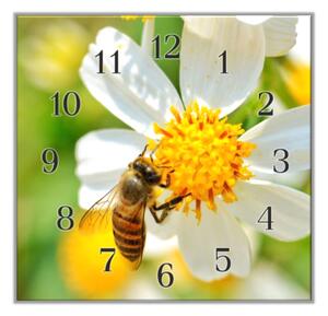 Nástěnné hodiny 30x30cm včela na bílém květu - kalené sklo