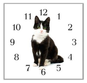 Nástěnné hodiny 30x30cm černo bílá kočka - plexi