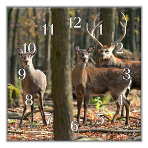 Nástěnné hodiny 30x30cm jelen a laně v lese - plexi