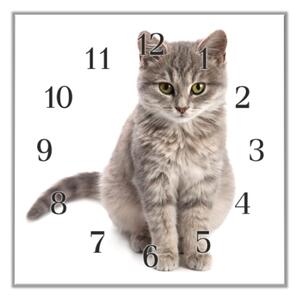 Nástěnné hodiny 30x30cm sedící šedá kočka - plexi