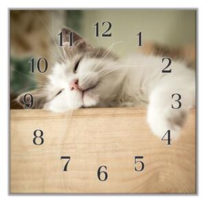 Nástěnné hodiny 30x30cm spící kočka na dřevě - plexi
