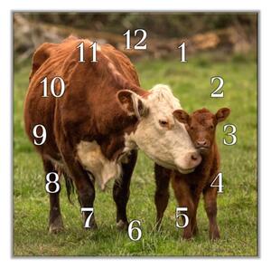 Nástěnné hodiny 30x30cm kráva a tele na pastvě - kalené sklo