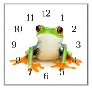Nástěnné hodiny 30x30cm zelená žába rosnička - plexi