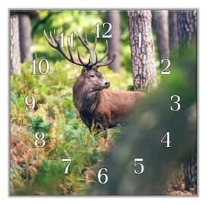 Nástěnné hodiny 30x30cm jelen v lese - kalené sklo