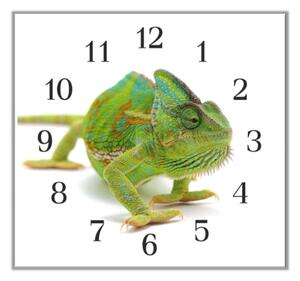 Nástěnné hodiny 30x30cm zelený chameleon - plexi