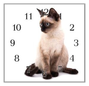 Nástěnné hodiny 30x30cm sedící siamská kočka - plexi