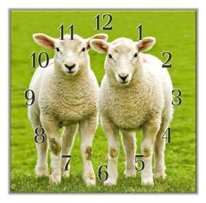Nástěnné hodiny 30x30cm dvě ovce na pastvě - plexi