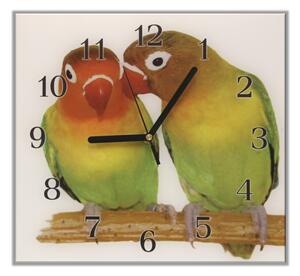 Nástěnné hodiny 30x30cm papoušek Agapornis fišerový - plexi