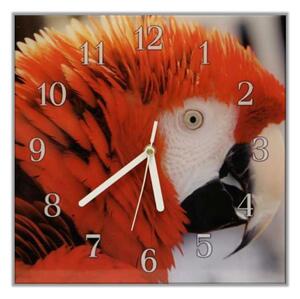 Nástěnné hodiny 30x30cm papoušek ara arakanga - plexi