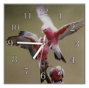 Nástěnné hodiny 30x30cm papoušek kakadu růžový - plexi