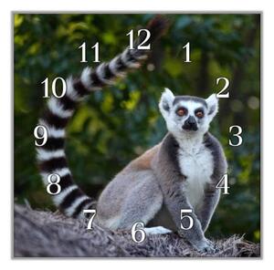 Nástěnné hodiny 30x30cm lemur - plexi
