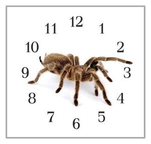 Nástěnné hodiny 30x30cm pavouk chilský růžový tarantule - plexi