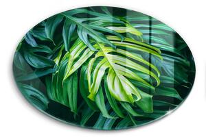 Skleněná deska do kuchyně Divoké monstera listy