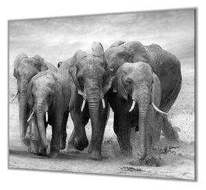 Ochranná deska stádo slonů - 50x70cm / S lepením na zeď