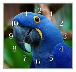 Nástěnné hodiny papoušek ara hyacintová - plexi