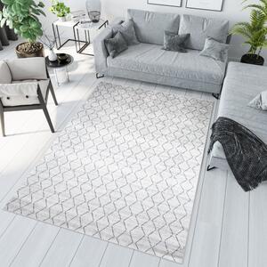 Světle šedý moderní koberec s jednoduchým vzorem Šířka: 120 cm | Délka: 170 cm